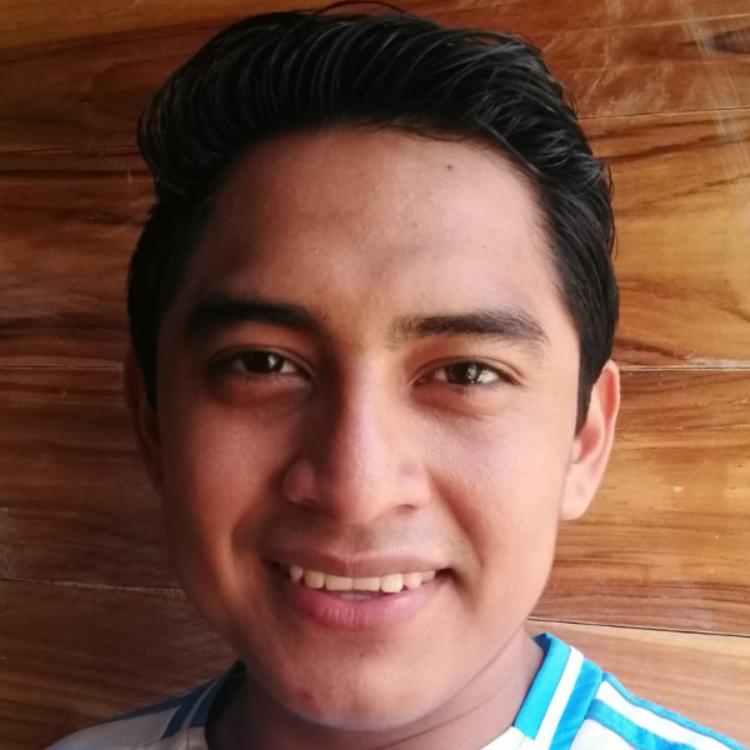 User Image