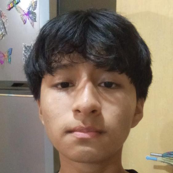 User Image