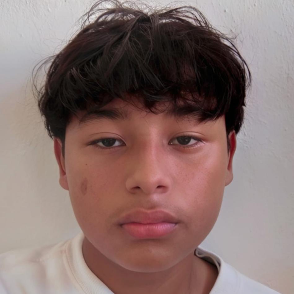 User Image