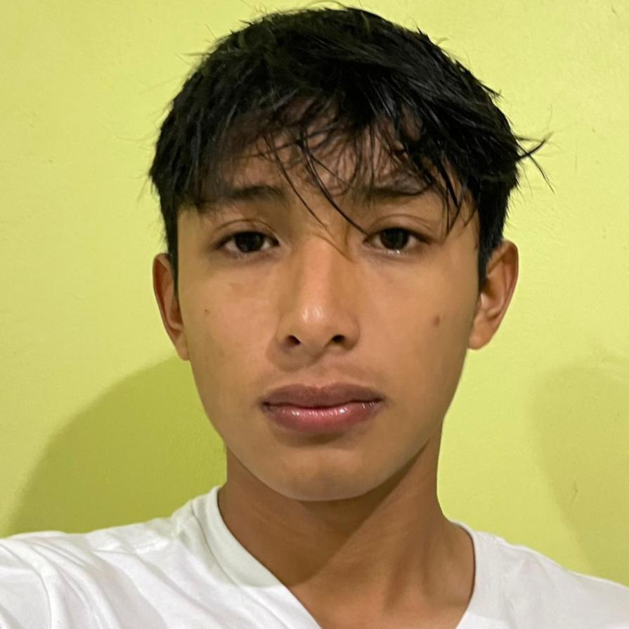 User Image