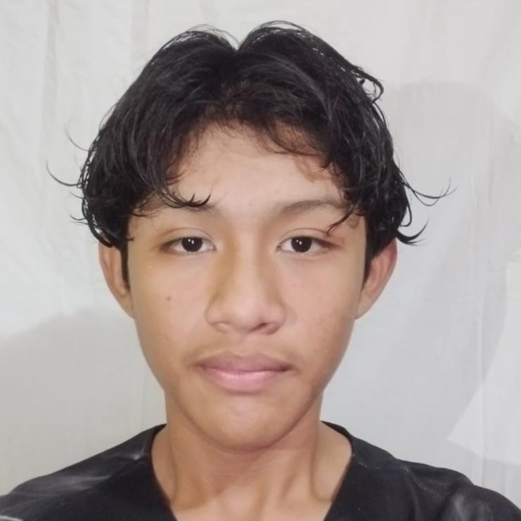User Image