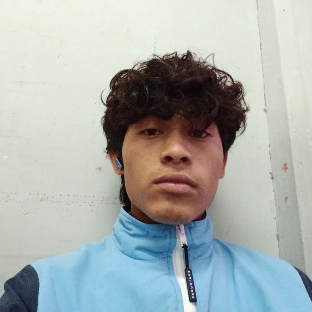 User Image