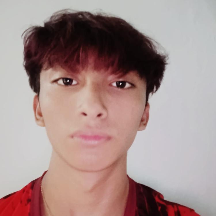 User Image