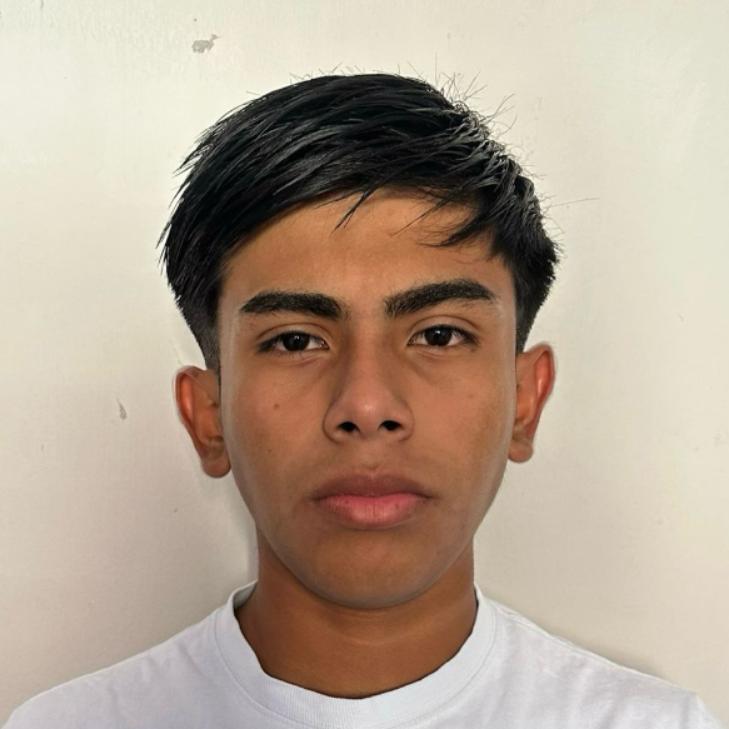 User Image