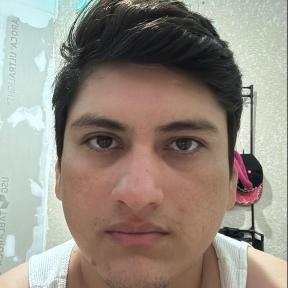User Image