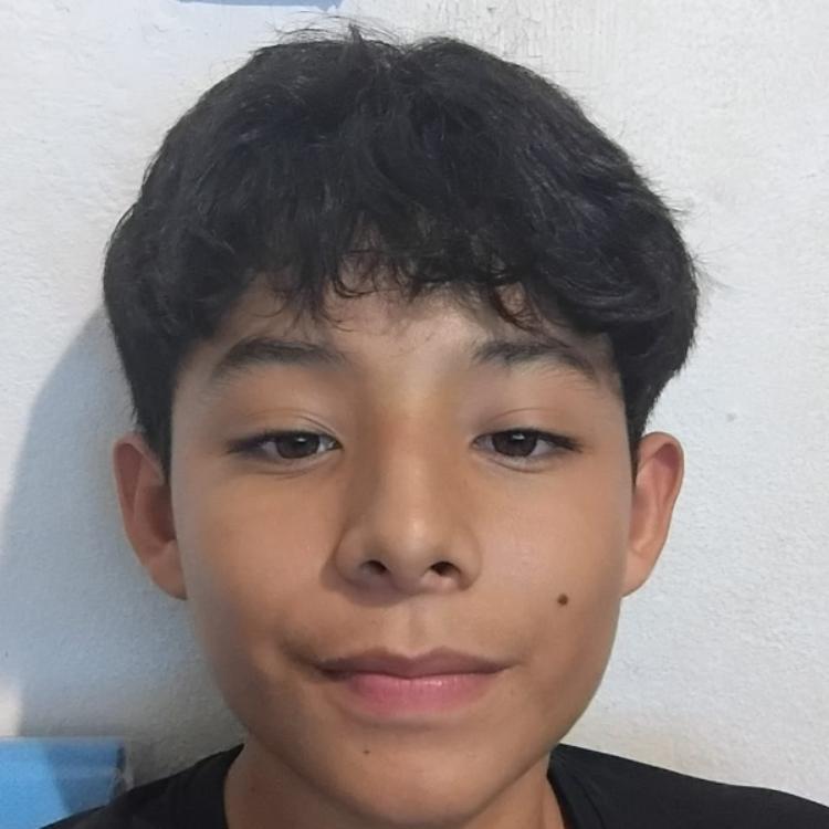 User Image