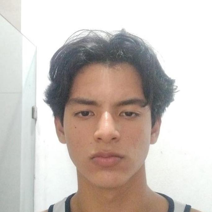 User Image